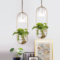 ĐÈN THẢ TRỒNG CÂY - LAM802C -
