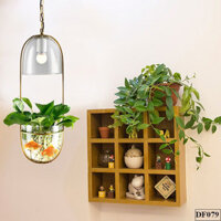 Đèn thả trồng cây thuỷ tinh Pebble DF079
