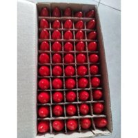 ĐÈN THỜ TRÁI ỚT (50 cái bóng đèn ông địa )