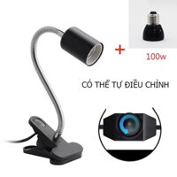 Đèn Thú Cưng Đèn Bò Sát Đèn Rùa Đèn Chiếu Sáng Đế Xoay 360 Độ Với Công Tắc Đèn Sưởi Ấm 100w