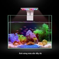 Đèn Thuỷ Sinh WRGB Cho Bể Mini - Đèn Kẹp Hồ Cá WRGB cho hồ 40CM trở lại.