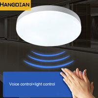Đèn trần HANGDIAN Ryder, đèn cảm biến radar, lối đi, điều khiển âm thanh và ánh sáng tròn, tài sản dân cư, đèn hành lang