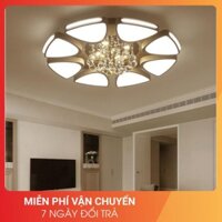 Đèn trần LED 8 cánh DV300 độc đáo