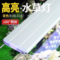 Đèn trang trí bể cá mới, đèn LED cho cây thủy sinh, đèn chiếu sáng đặc biệt, đèn khung cho bể rùa, đèn cảnh quan cho bể cây
