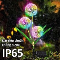 Đèn Trang Trí Năng Lượng Mặt Trời Bồ Công Anh, Sử Dụng Năng Lượng Tự Nhiên, Trang Trí Sân Vườn GIATOT shop