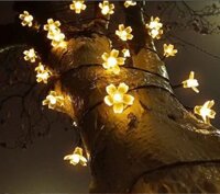 Đèn trang trí NLMT dạng dây led, dài 22m có 200 bóng hình bông hoa anh đào đẹp lung linh (SV75)