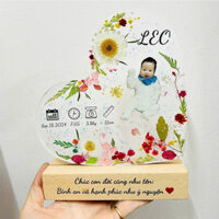 Đèn tranh decor hoa khô trang trí hoa hướng dương, hoa baby khô, khung tranh in ảnh em bé