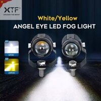 Đèn trợ sáng D2 mini Cost Vàng Pha Trắng Siêu Sáng Chống Chói - XTF VN