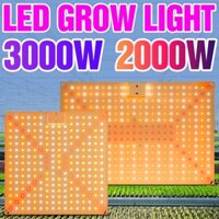 Đèn trồng cây 3000W LED Full Spectrum Phytolamp 220V Bảng lượng tử thực vật 110V Đèn làm mờ thủy canh nhà kính 1500W 2000W Đèn xanh đỏ Bảng lượng tử Hộp thủy canh.