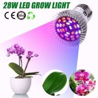 Đèn trồng cây, Đèn led trồng rau trong nhà, Led grow lights (28W, E27)