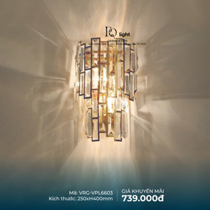 Đèn tường nghệ thuật VPL6603