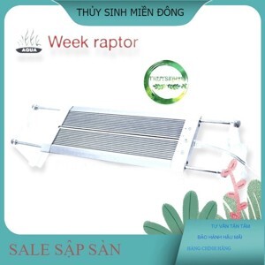 Đèn tường trang trí V-450