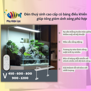 Đèn tường trang trí V-450