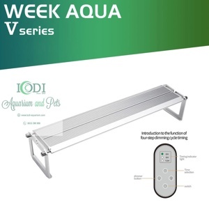 Đèn tường trang trí V-450