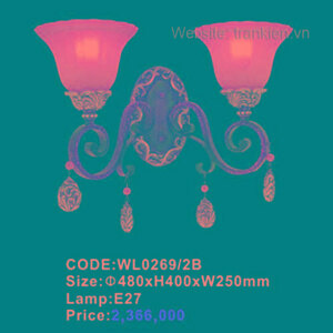 Đèn Tường Trang Trí WL0269/2B