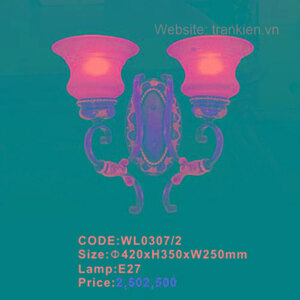 Đèn tường trang Trí WL0307/2