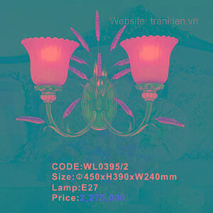 Đèn Tường Trang Trí WL0395/2