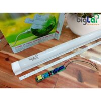 Đèn tuýp led liền máng (T8) 1.2M 22W - Chính hãng Biglai