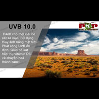 Đèn UVB mặt trời bò sát Sa Mạc – Hãng HongYi / Boshi 10.0