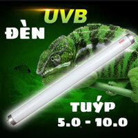 ĐÈN UVB TUÝP 5.0/10.0 HẤP THỤ CANXI BẢO VỆ SỨC KHOẺ CHO BÒ SÁT, LIZARD, INSECT, LEOPARD TORTOISE_Chính Hãng NOMOY 15W