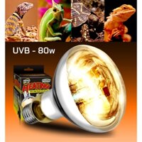 Đèn UVB UVA cho thú cưng (rùa và bò sát)