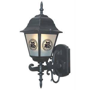 Đèn vách ngoài trời TD-117