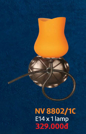 Đèn vách tường NV8802/1C