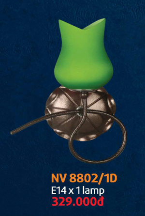 Đèn vách tường NV8802/1D