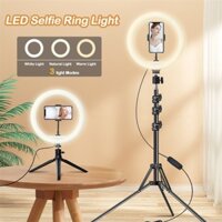 Đèn vòng Selfie LED 10 "/ 26cm với 3 chế độ ánh sáng và 10 mức độ sáng D imabl e Bàn làm việc Đèn LED trang điểm có giá đỡ điện thoại di động để phát Video trực tiếp