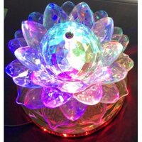 Đèn Xoay Hoa Sen 360 Độ Lotus Lantern