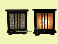 Đèn xông tinh dầu điện Oleo DG002