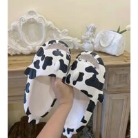 DÉP CÁ MẬP BÒ SỮA MỚI (oder