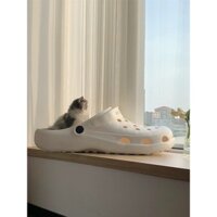 Dép Crocs Khổng lồ làm Đệm nằm cho Thú Cưng [VIDEO THẬT TỰ QUAY]