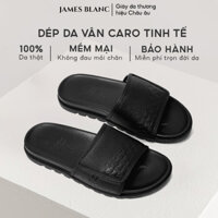 Dép Da JB - JAMES BLANC - Dép bản da nam - GT- 8844 - Nâu, Đen