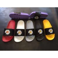 Dép G.Dragon Hoa Cúc Quai Ngang Nam Nữ