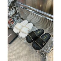 DÉP LÊ CHA NEO QUAI VIỀN XÍCH