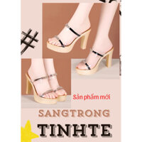 dép nữ 2 quai trong sang trọng cao cấp (10cm)