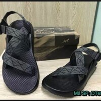 Dép quai hậu chaicoo nam xám