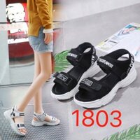 Dép quai hậu nữ