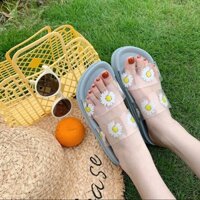 Dép quai trong hoa cúc xinh xắn