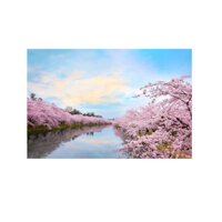 Desknote Nec MY306RG-A