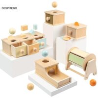 Despitego 1 Bộ Hộp Thường Trực Đối Tượng Montessori Huấn Luyện Mầm Non Đồ Chơi Cảm Giác Quà Tặng
