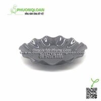 DH 06 Đĩa nhựa phíp tròn 6 (Đen)