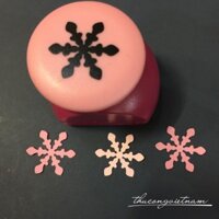 DH25-41 Dập hình hoa tuyết 2.5cm (1")