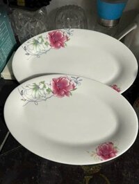 Đĩa 10 Xoài ( thùng 50 c )