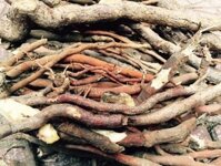 Địa chỉ bán rễ cau khô - Mua rễ cau ở đâu tốt