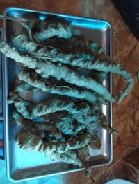 Địa Chỉ Mua củ tam thất hoang, tam thất rừng tại tp HCM