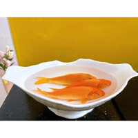 dĩa đựng gà sứ