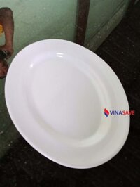 Dĩa hột xoài mica cũ SP000390