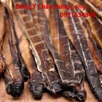 Địa Long [ Giun đất ] 100g - Nhà thuốc đông y Chấn Hưng Long